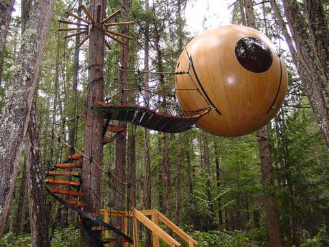coolest tree houses
