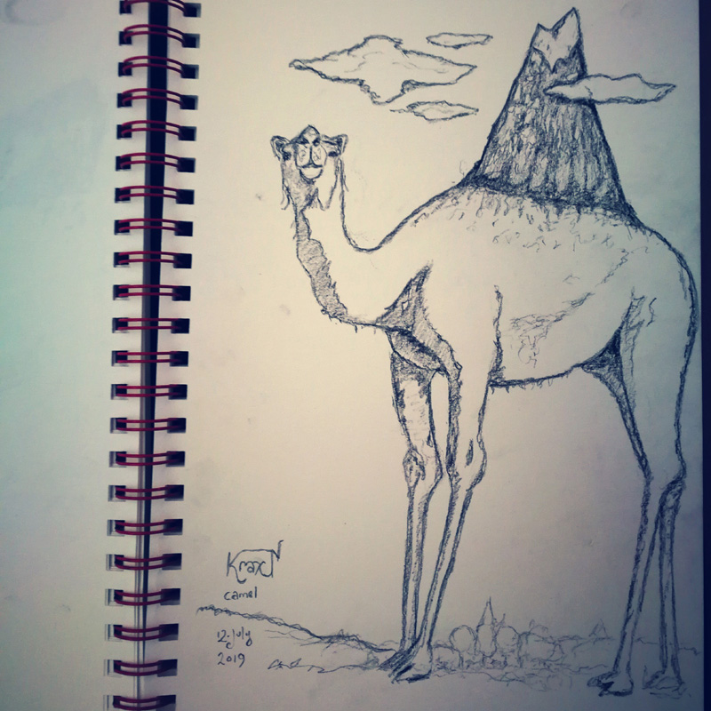 2019-07-12-camel