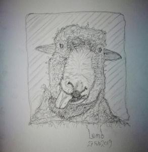 2019-02-27-lamb