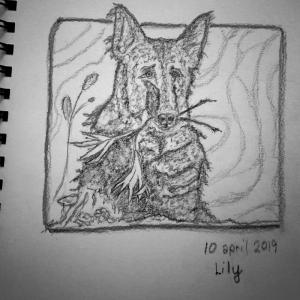 2019-04-10-lily
